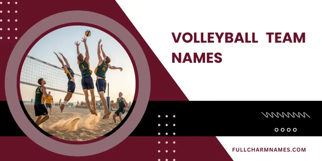 Volleyball Team Names