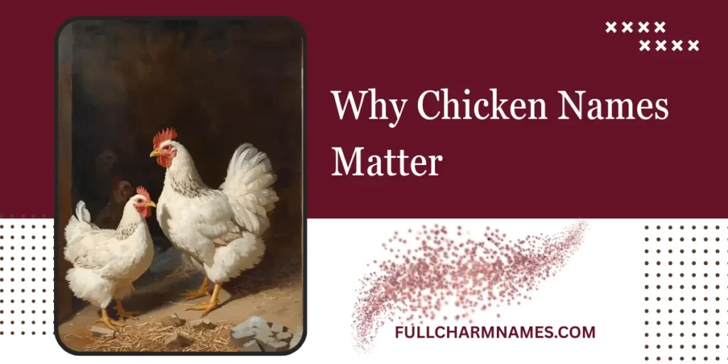 Why Chicken Names Matter