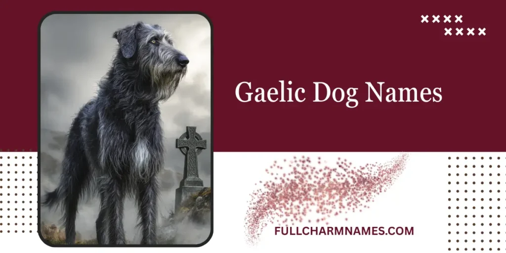Gaelic Dog Names